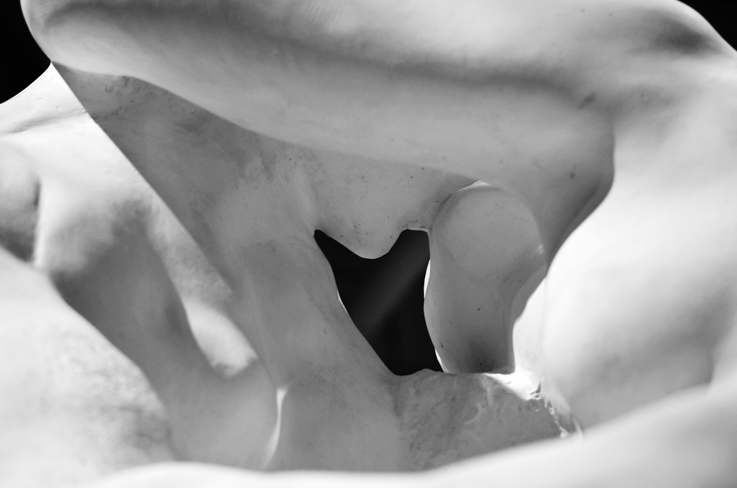 El_Beso_de_Rodin.jpg