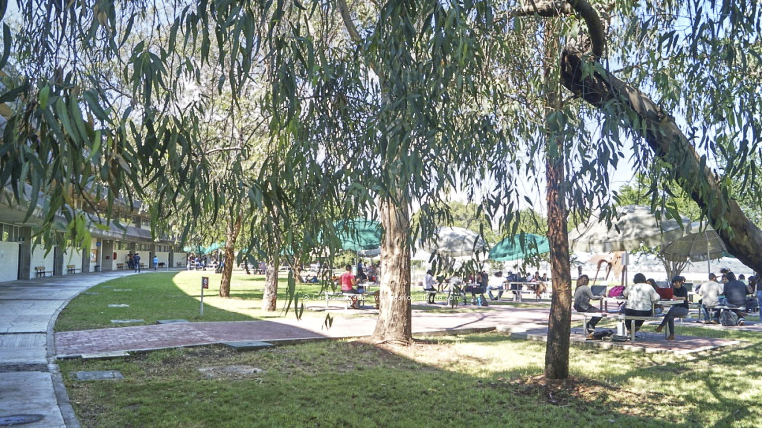 044_2013.jpg